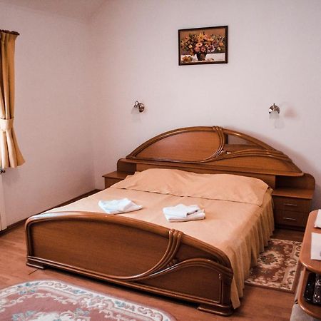 Pensiunea Ana Băile Felix Buitenkant foto
